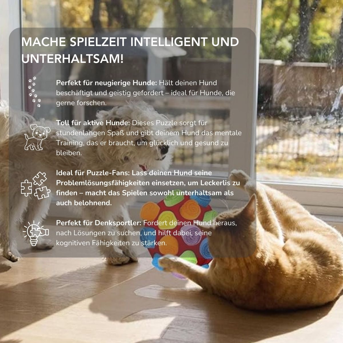 Serenosole™ PupPuzzle Interaktives Hundespielzeug | Fördert Mentale Stimulation &amp; Spaß für Deinen Hund | Ultimatives Puzzle-Spiel für Hunde 2024