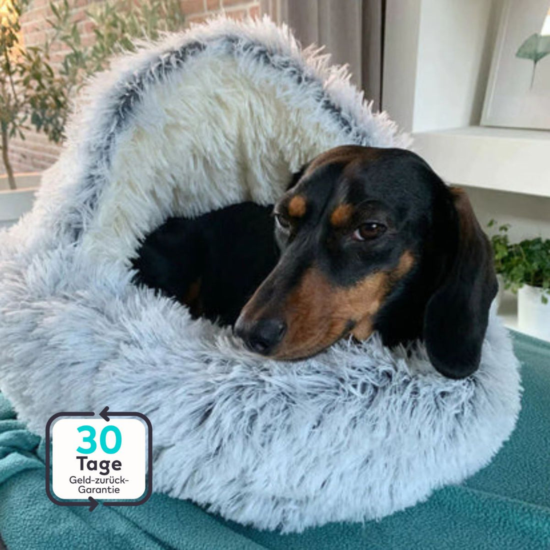 Serenosole™ CuddleCave Hundebett | Gemütlicher Rückzugsort, perfekt für deinen Hund | Gemütlichstes Hundebett 2024