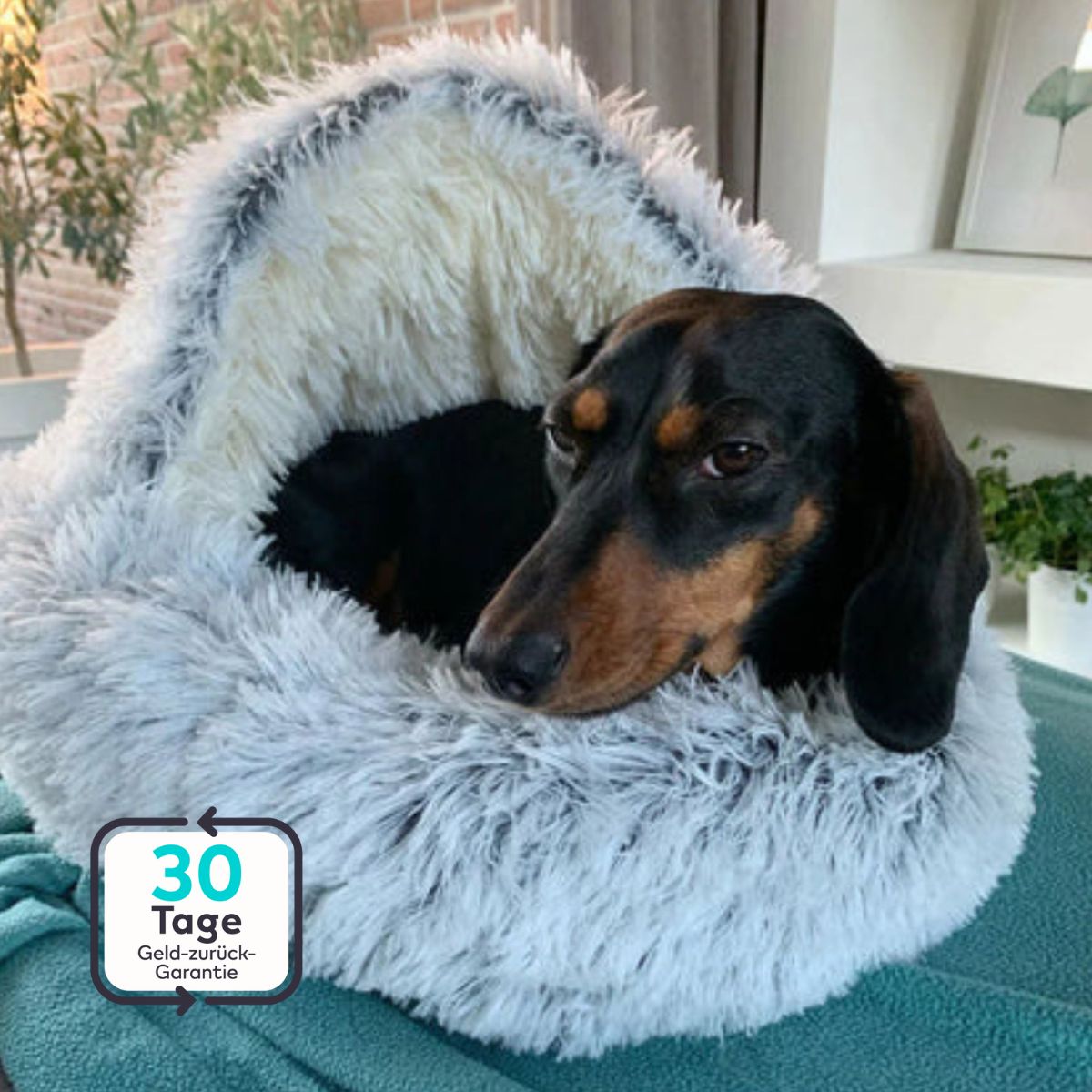 Serenosole™ CuddleCave Hundebett | Gemütlicher Rückzugsort, perfekt für deinen Hund | Gemütlichstes Hundebett 2024